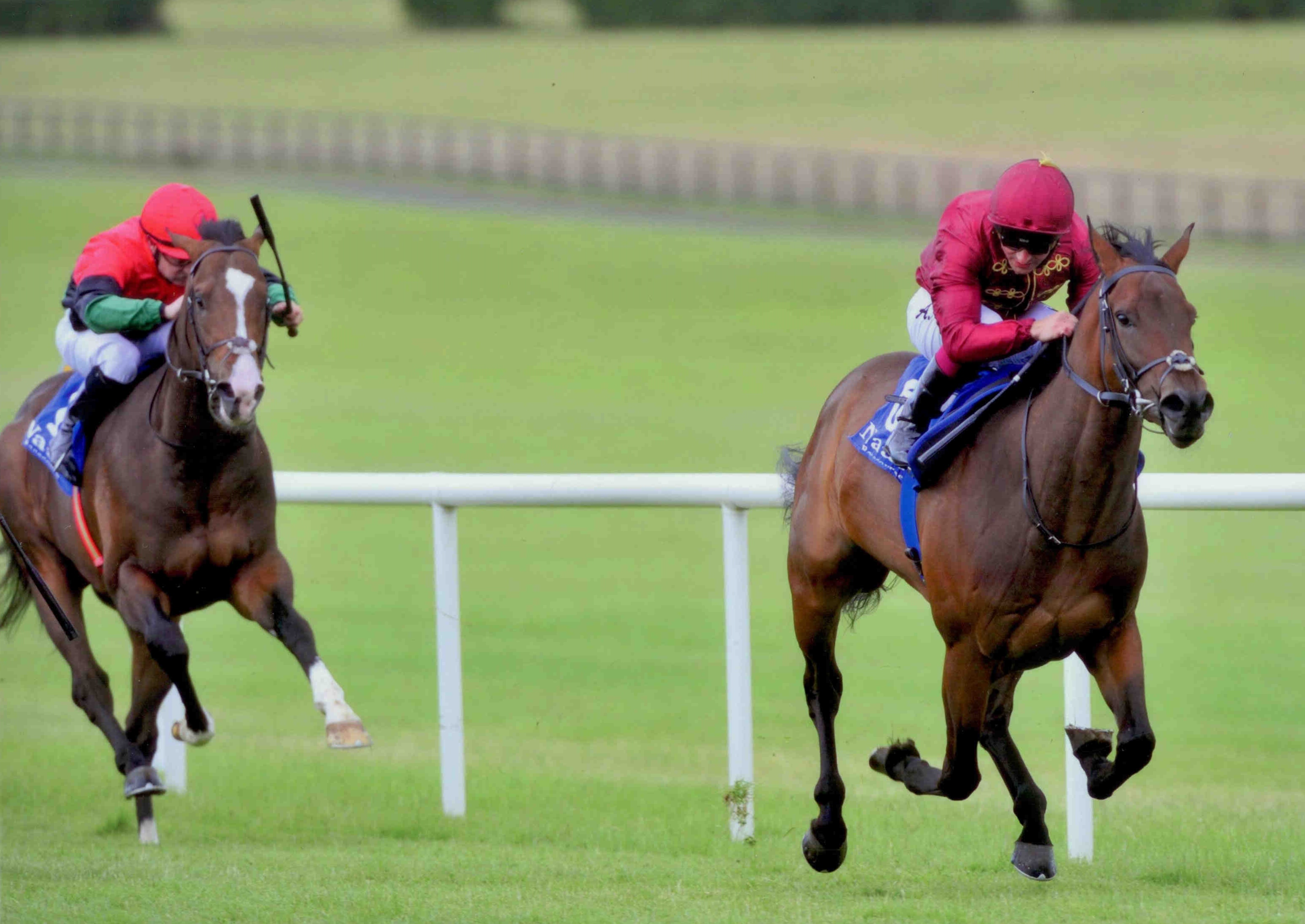 BEAR CHEEK wins first time out at Naas on July 22nd 2015
